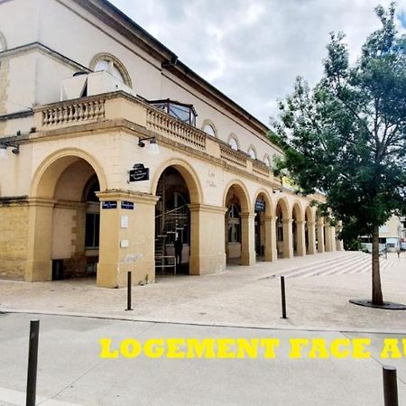 Le Wlerick 1 - Hyper Centre - Au Calme - Wifi Apartment Mont-de-Marsan Luaran gambar